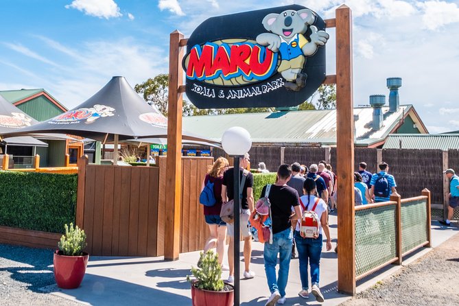 Phillip Island, Penguins, Koalas & Wildlife Tour - From Melbourne - Guided Tours