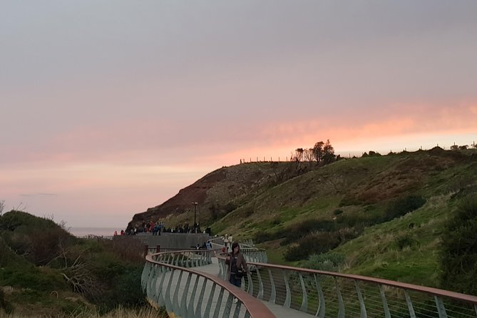 Phillip Island Private Experience - Tour Experience