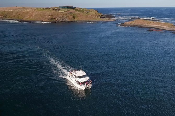 Phillip Island Seal-Watching Cruise - Cruise Features and Amenities