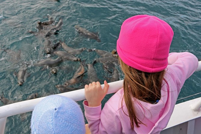 Phillip Island Seal-Watching Cruise - Opportunities to Spot Wildlife