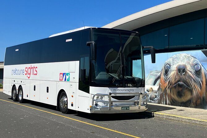Phillip Island Tour - Koala's, Wallabies & Little Penguins. - Summerlands and Cliff Top Wildlife Spotting