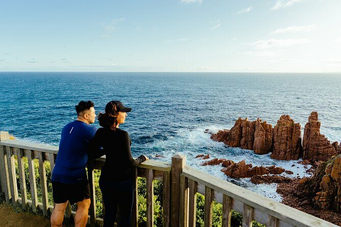 Phillip Island Tour - Koala's, Wallabies & Little Penguins. - The Penguin Parade