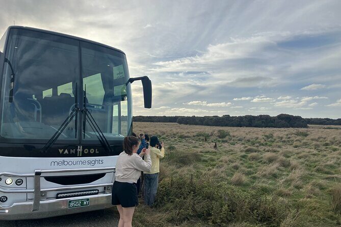 Phillip Island Tour - Koala's, Wallabies & Little Penguins. - Additional Details and Practicalities