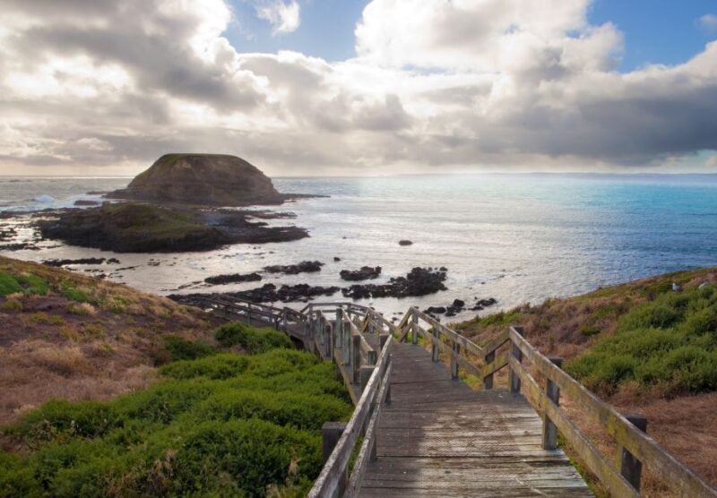 Phillip Island Wildlife & Brighton Beach Boxes Private Tour - Key Points