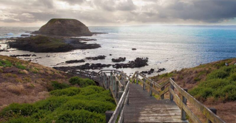 Phillip Island Wildlife & Brighton Beach Boxes Private Tour - Penguin Parade Experience