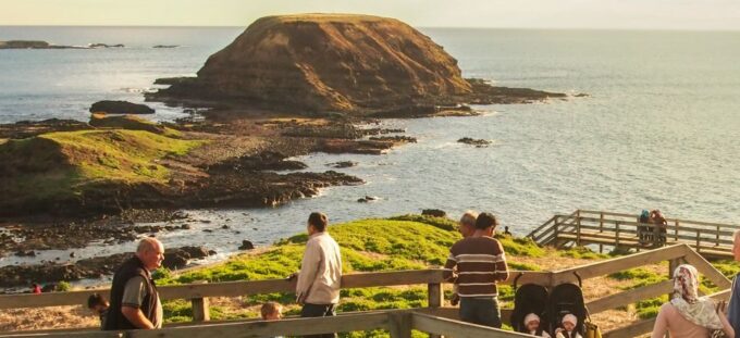 Phillip Island Wildlife & Brighton Beach Boxes Private Tour - Multilingual App Support