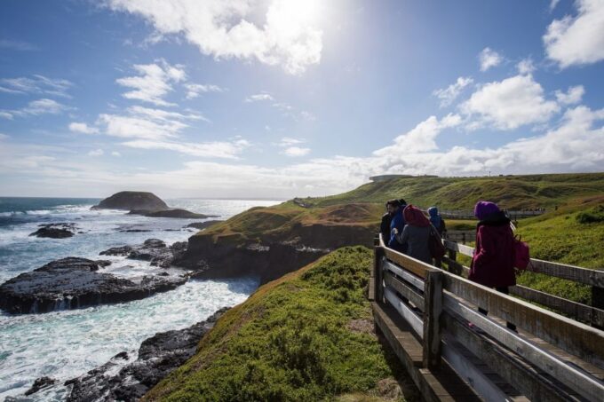 Phillip Island Wildlife & Brighton Beach Boxes Private Tour - Pickup and Drop-off Details