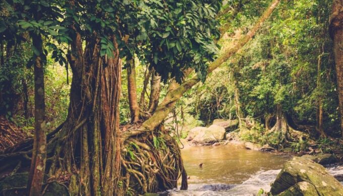 Phnom Kulen National Park: 6 Hours Full Day Tour - Departure and Return