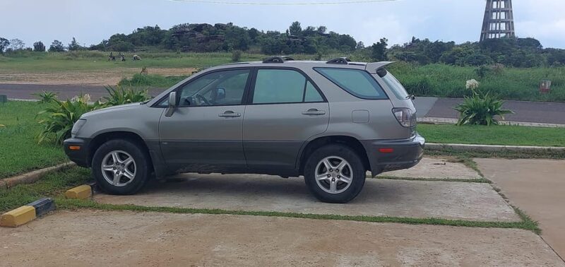 Phnom Penh Airport Private Transfer - Driver Information