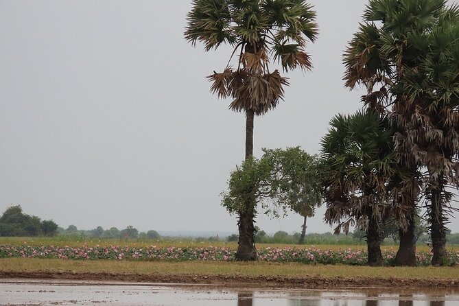 Phnom Penh Countryside Cycle Tour - Reviews and Ratings