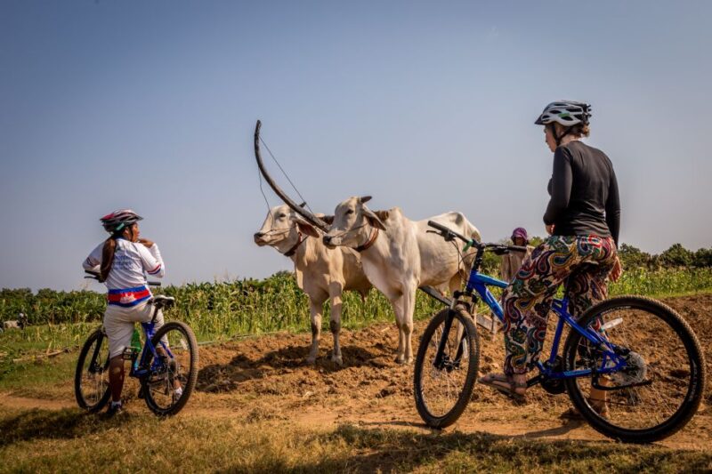 Phnom Penh: Mekong Islands & Silk Islands Guided Bike Tour - Visit to Silk Farm