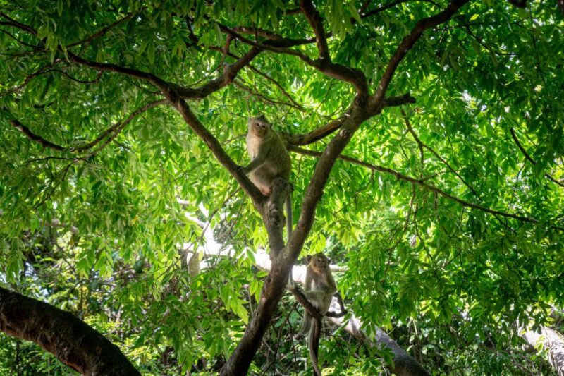 Phnom Penh: Phnom Oudong & Koh Chen Village - Lunch Include - Itinerary Highlights