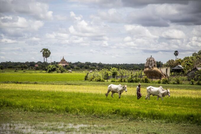 Phnom Penh: Phnom Oudong & Koh Chen Village - Lunch Include - Frequently Asked Questions