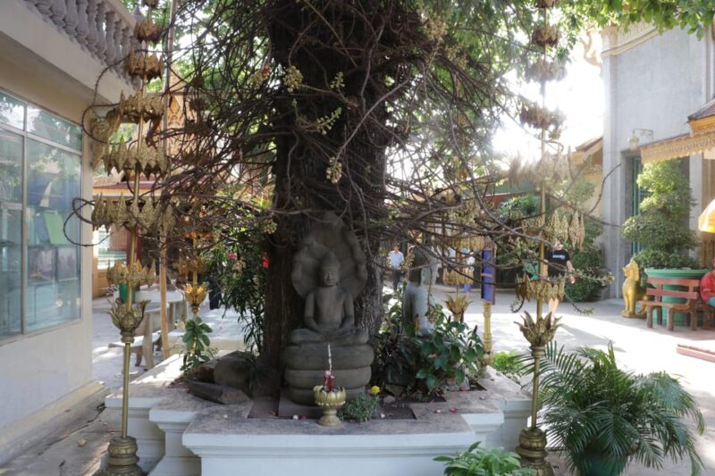 Phnom Penh Private Tour English Local Guide - Customer Feedback
