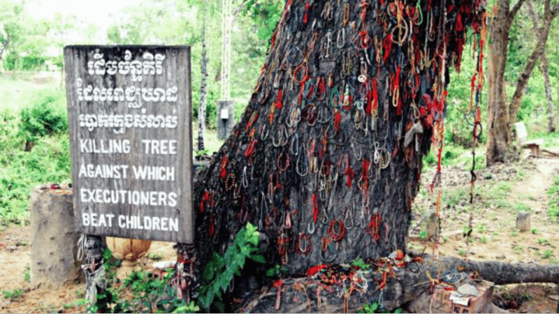 Phnom Penh: S-21 Prison and Killing Fields Half-Day Tour - Frequently Asked Questions