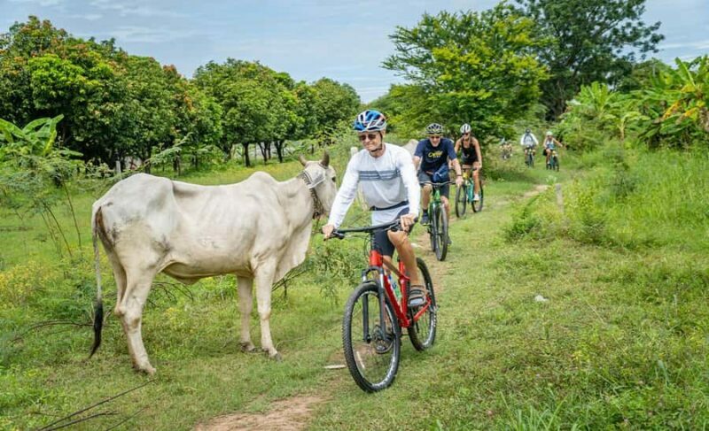 Phnom Penh Silk Island Sunset Bike Tour / E-Bike or Tuk Tuk - FAQ