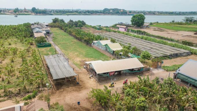Phnom Penh Silk Island Sunset Haft Day Vespa Tour - Transportation and Pickup