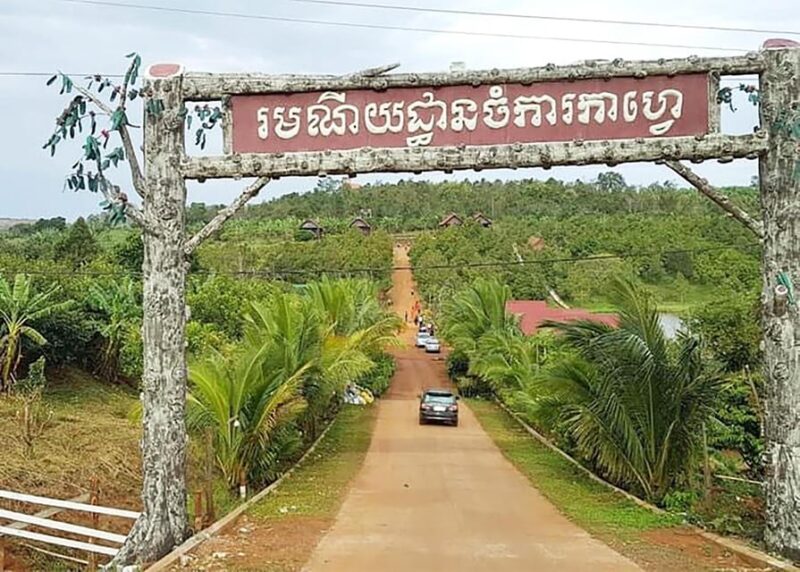 Phnom Penh to Mondulkiri Private Transfer - Driver and Meeting Arrangements