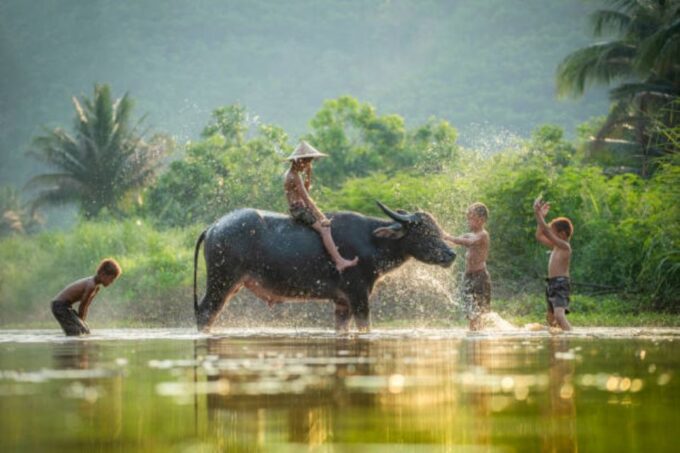 Phnom Penh to Siem Reap Cruise/Road Tour (One Way) - Daily Service and Route