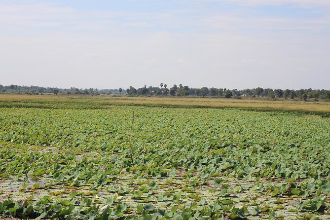 Phnom Penh to Siem Reap Cycling Tour - Itinerary Overview