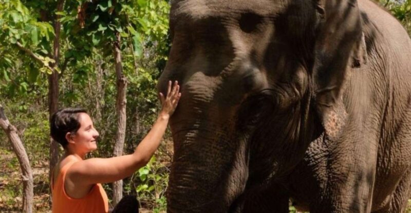 Phnom Tamao Wildlife Center & Buddha Kiri Cambodia Day Tour - Good To Know