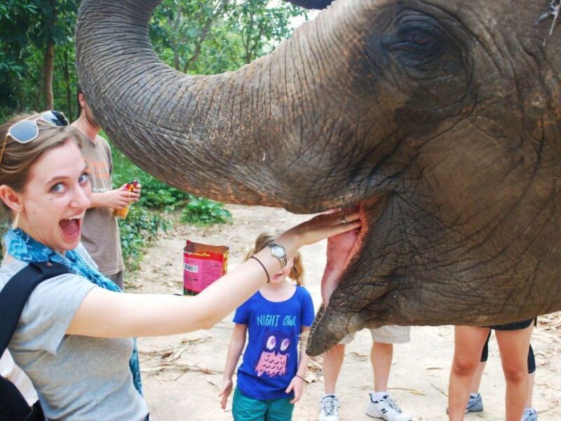 Phnom Tamao Wildlife Center & Buddha Kiri Cambodia Day Tour - Itinerary and Highlights