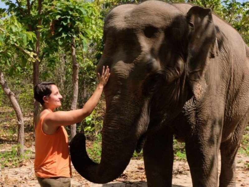 Phnom Tamao Wildlife Center & Buddha Kiri Cambodia Day Tour - Transportation and Pickup Information