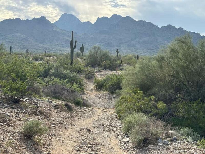 Phoenix: Guided Mountain Bike Adventure in Sonoran Desert - The Itinerary and What to Expect