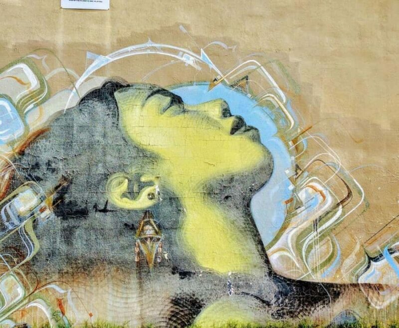 Phoenix: RoRo Street Art Walking Tour - An In-Depth Look at the RoRo Street Art Walking Tour