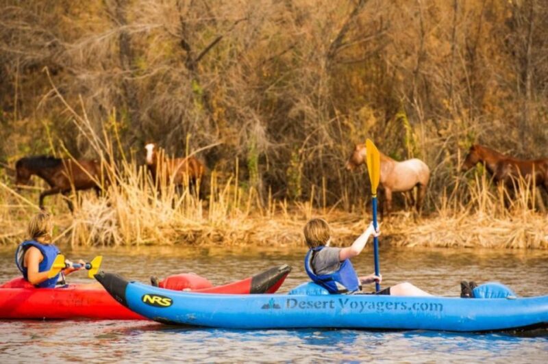 Phoenix & Scottsdale: Lower Salt River Kayaking Tour - Key Points