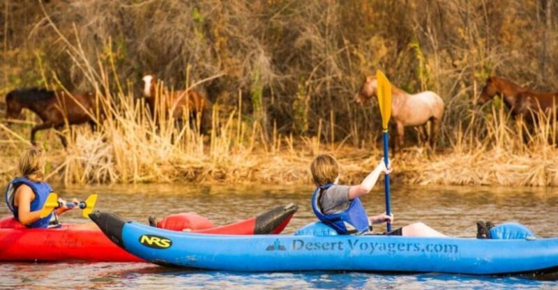 Phoenix & Scottsdale: Lower Salt River Kayaking Tour - Experience Highlights
