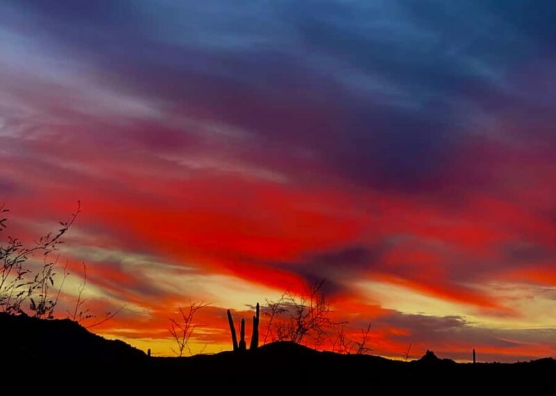 Phoenix: Sonoran Desert Guided Sunset Hike - Key Points