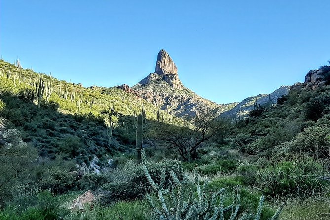 Phoenix Wilderness Hiking Tours - Inclusions and Pickup