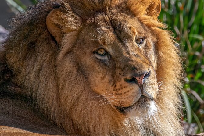 Phoenix Zoo Admission Ticket - Reviews and Ratings