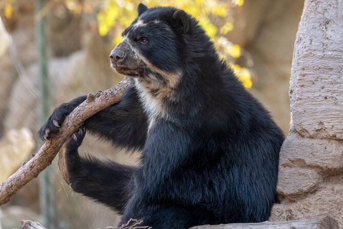 Phoenix Zoo Admission Ticket - Getting There