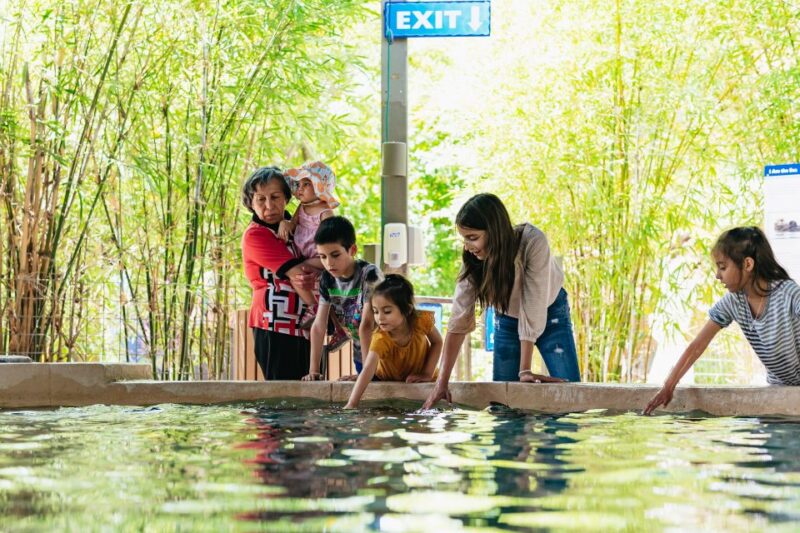 Phoenix Zoo: One Day General Admission Ticket - Key Points