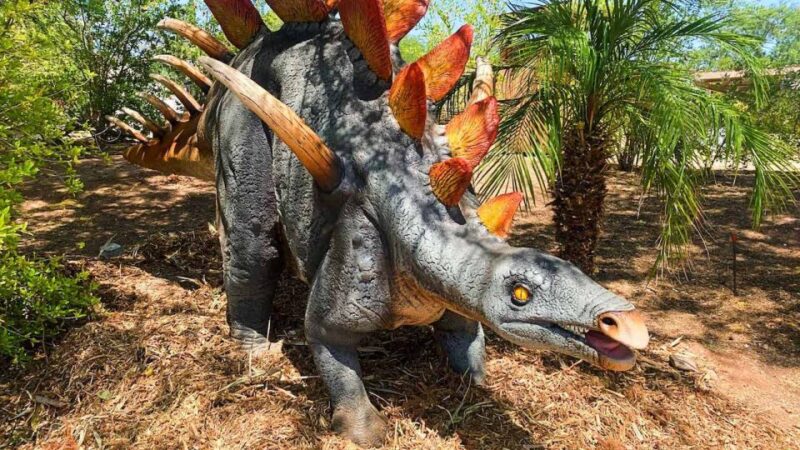 Phoenix Zoo: One Day General Admission Ticket - Highlights of the Zoo