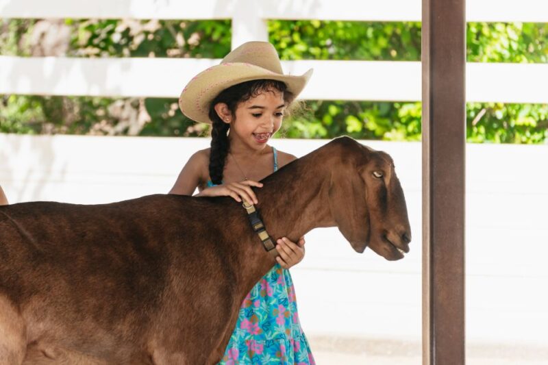 Phoenix Zoo: One Day General Admission Ticket - Visitor Facilities and Amenities