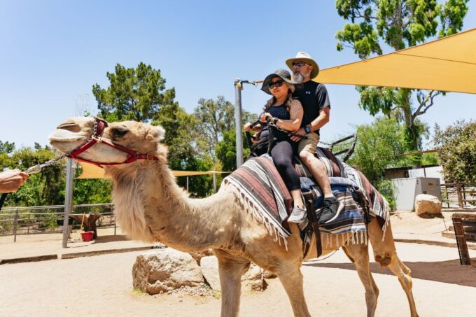 Phoenix Zoo: One Day General Admission Ticket - Admission and Cancellation Policy