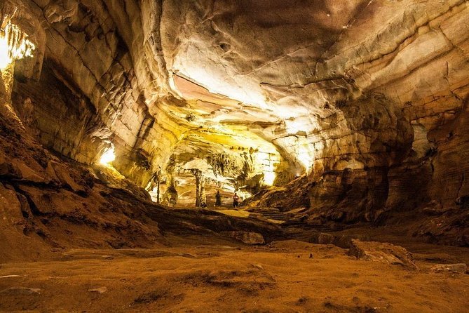 Phong Nha and Dark Cave 1 Day Tour - Traveler Feedback