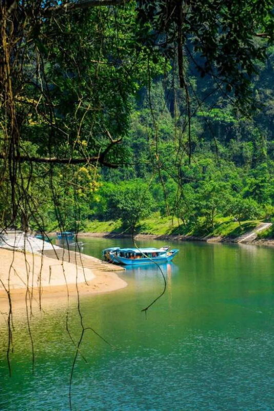 Phong Nha/Dong Hoi: Zipline Dark Cave & Phong Nha Cave Trip - Included Services