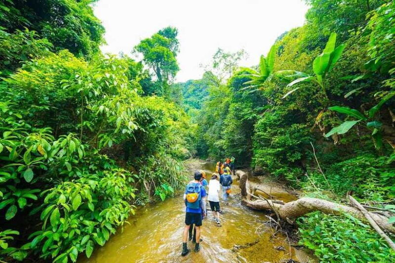 Phong Nha: ELEPHANT CAVE & MA DA VALLEY JUNGLE TREK 1D - What to Bring and Restrictions