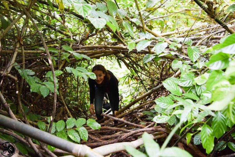 Phong Nha: Experience Jungle Adventures and Wildlife Tours - Key Points