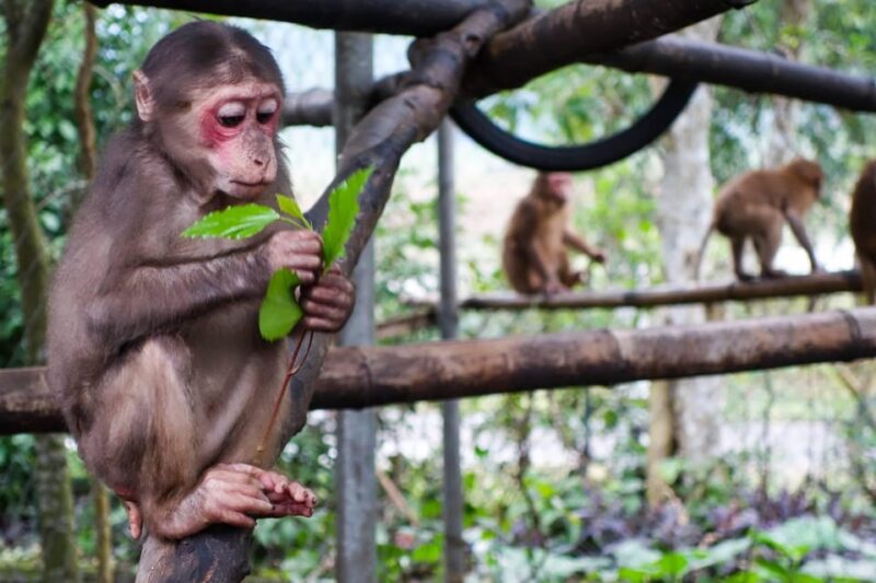 Phong Nha: Experience Jungle Adventures and Wildlife Tours - Inclusion and Exclusions