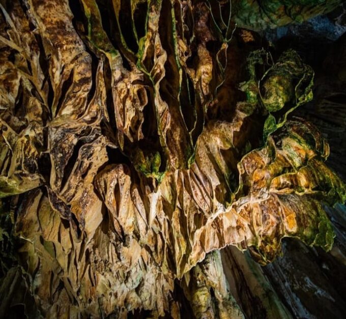 Phong Nha & Paradise Cave 1 Day Trip From Dong Hoi/Phong Nha - Booking Information