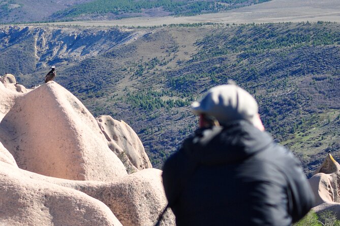 Photo Discovering Condors & Birdwatching - Full Day Tour in Private Service - Meeting and Pickup Details