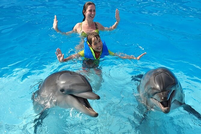 Photo Session With Dolphins With Transfer in Hurghada - About Your Stay