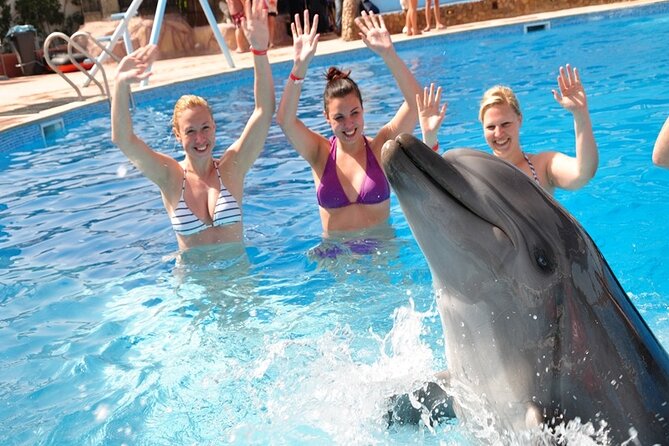 Photo Session With Dolphins With Transfer in Hurghada - Pickup Procedures