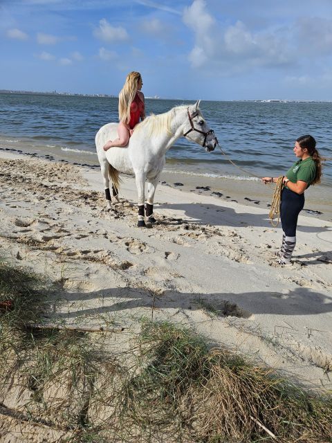 Photo Session With Horses on the Beach or in the Countryside - Customization Options