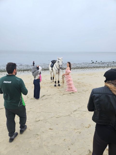 Photo Session With Horses on the Beach or in the Countryside - Highlight and Experience